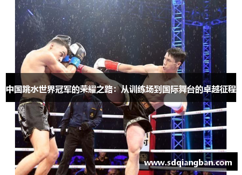 中国跳水世界冠军的荣耀之路：从训练场到国际舞台的卓越征程